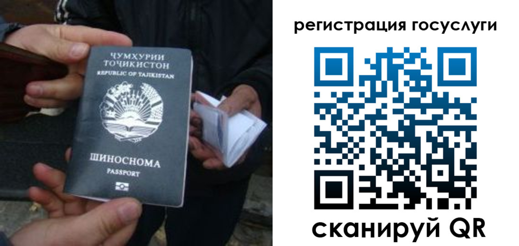 прописка регистрация в Ельне